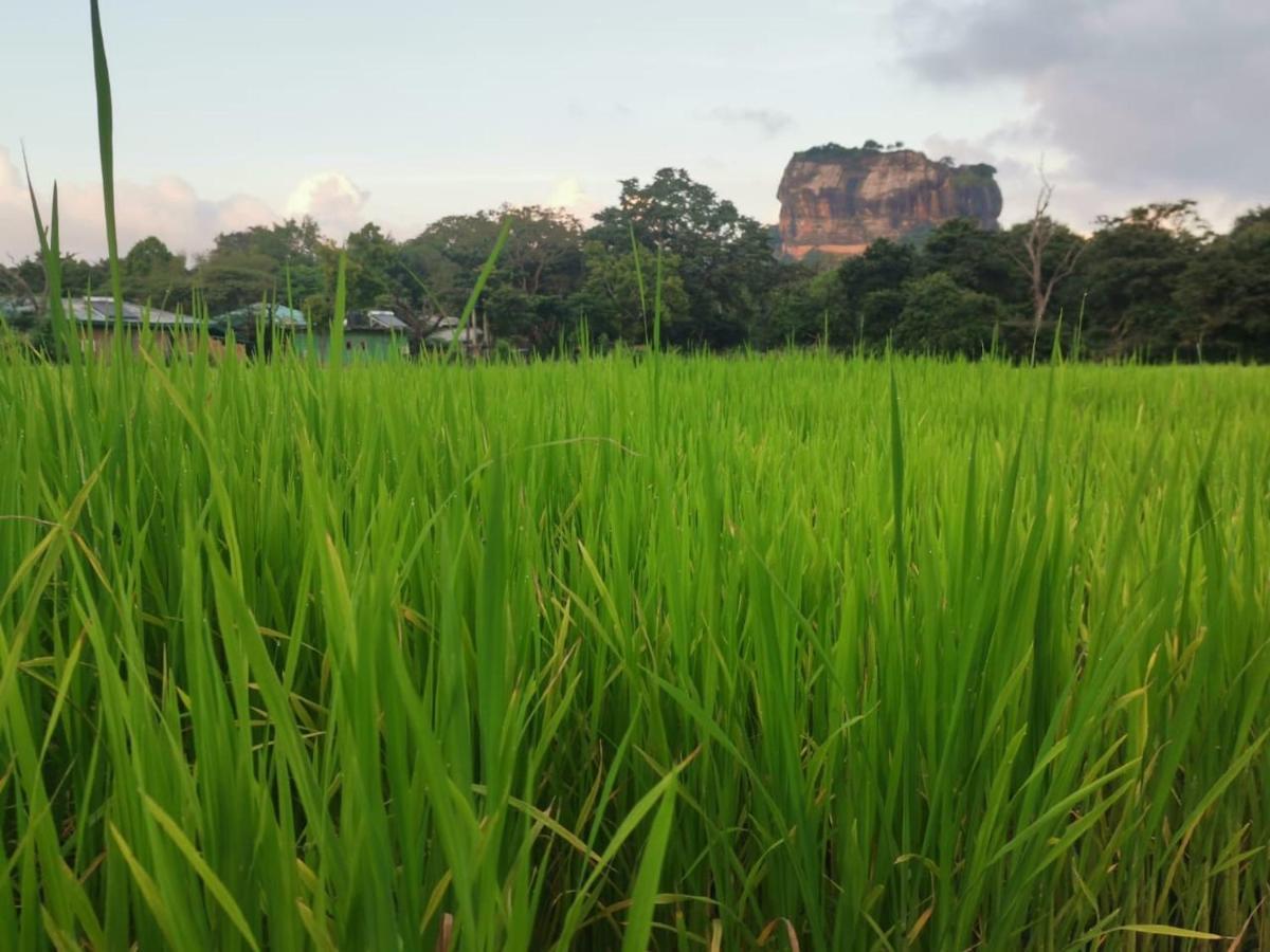ซันไชน์ รีสอร์ต แอนด์ สปา Hotel สิกิริยา ภายนอก รูปภาพ