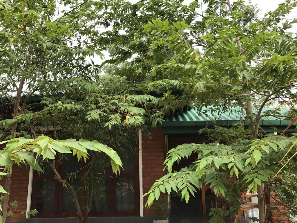 ซันไชน์ รีสอร์ต แอนด์ สปา Hotel สิกิริยา ภายนอก รูปภาพ